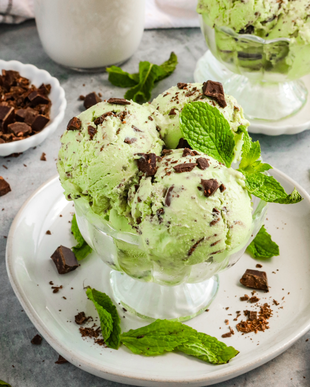 Mint Chocolate Chip Ice Cream